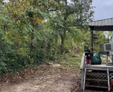 Attica storm damage tree removal