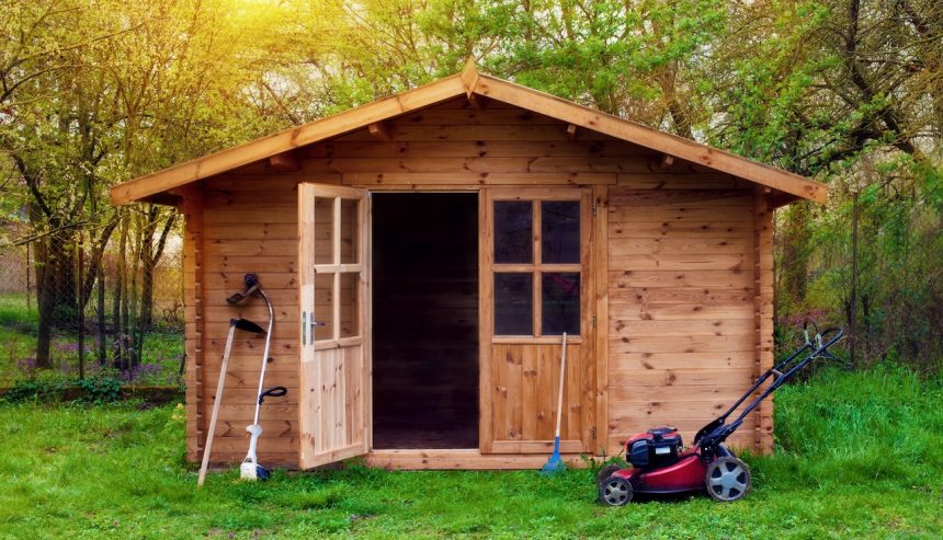 how to remove mold from shed