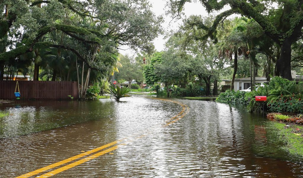 how to stay safe during a flash flood