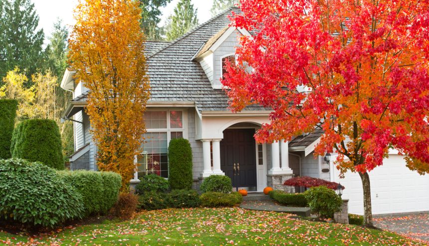 fall roof