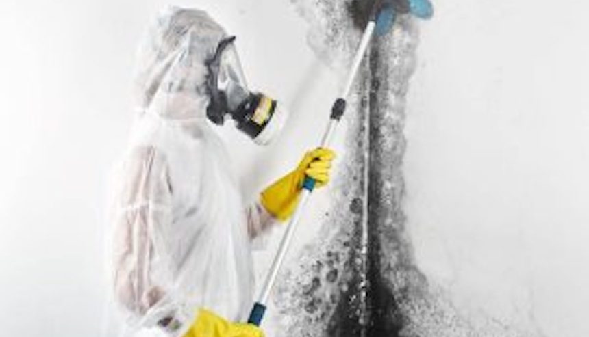 mold dangers