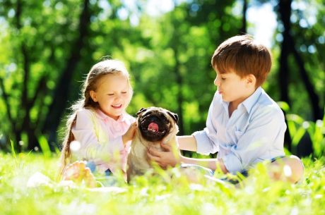 Two young children playing with a dog outside