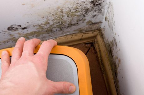 The Hidden Dangers of Mold in East Las Vegas Homes