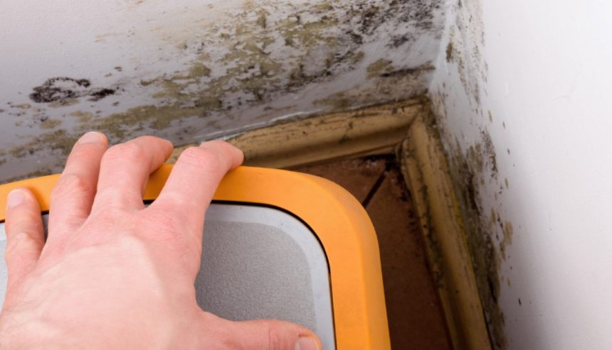 The Hidden Dangers of Mold in East Las Vegas Homes