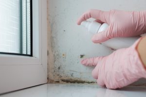 Mold Inspections