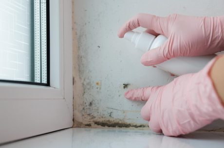 Mold Inspections