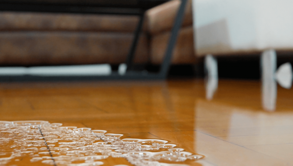 Water damage cleanup and restoration services addressing mold growth and hidden health risks, illustrating how property damage can affect your health in North Carolina homes.