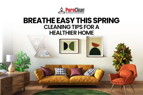 Breathe Easy This Spring: Essential Cleaning Tips for a Healthier Huntington Park Home