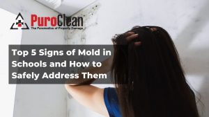 Top 5 Signs of Mold in Schools and How to Safely Address Them