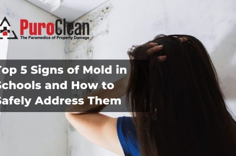 Top 5 Signs of Mold in Schools and How to Safely Address Them