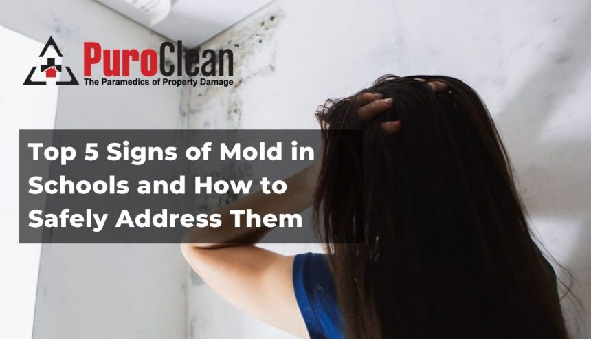 Top 5 Signs of Mold in Schools and How to Safely Address Them