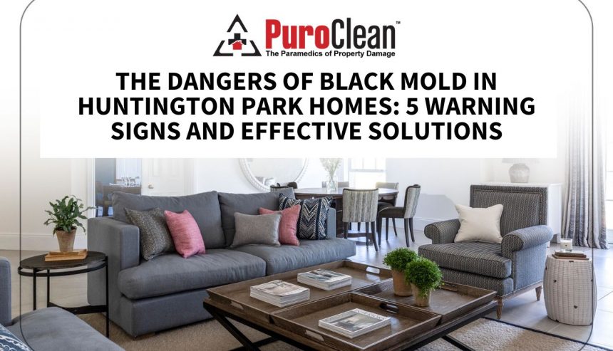 Black mold