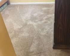 Carpet cleaning in Torrance, CA