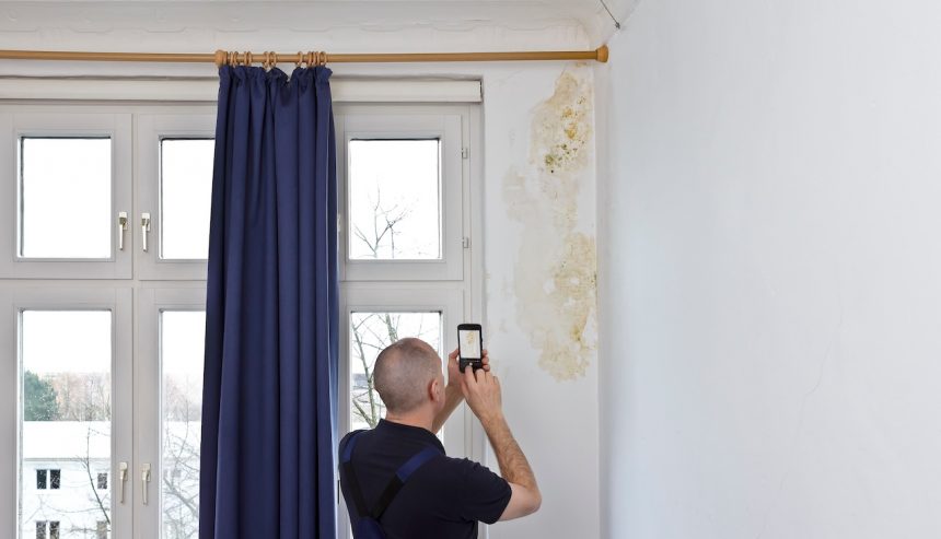 How to Handle Mold in Your Los Angeles Rental in 2024