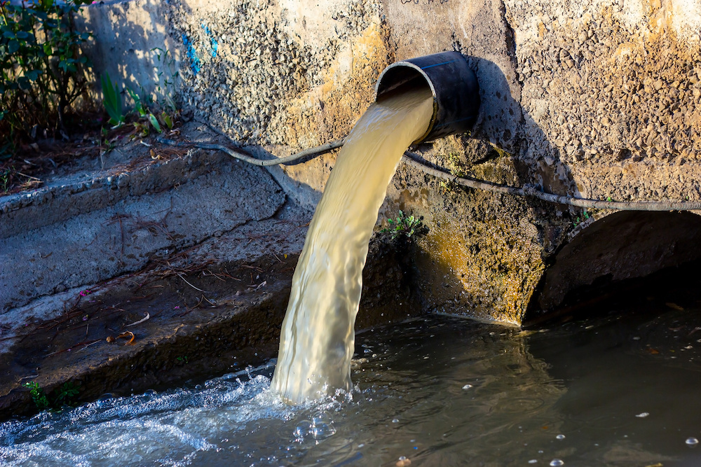 what-you-need-to-know-about-black-water