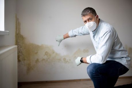 Spotting Mold After Water Damage