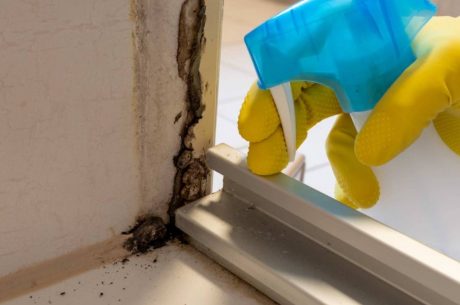 Preventing Mold Growth After Water Damage