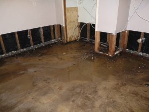 Common Sources of Water Damage in Marysville, WA