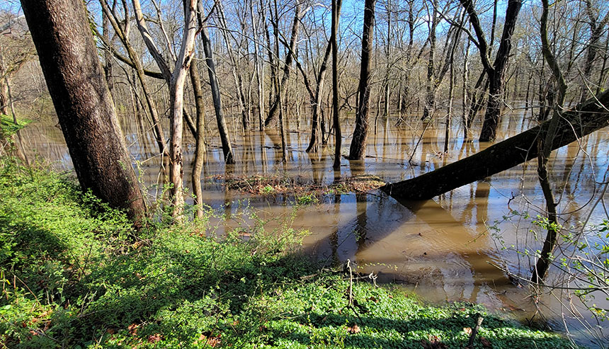 spring flooding in matawan