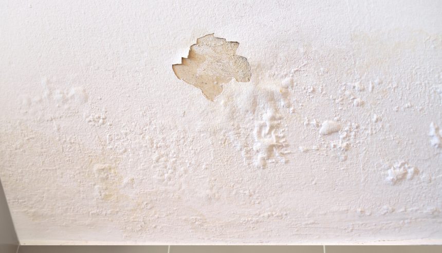 water damaged drywall, ready for repair