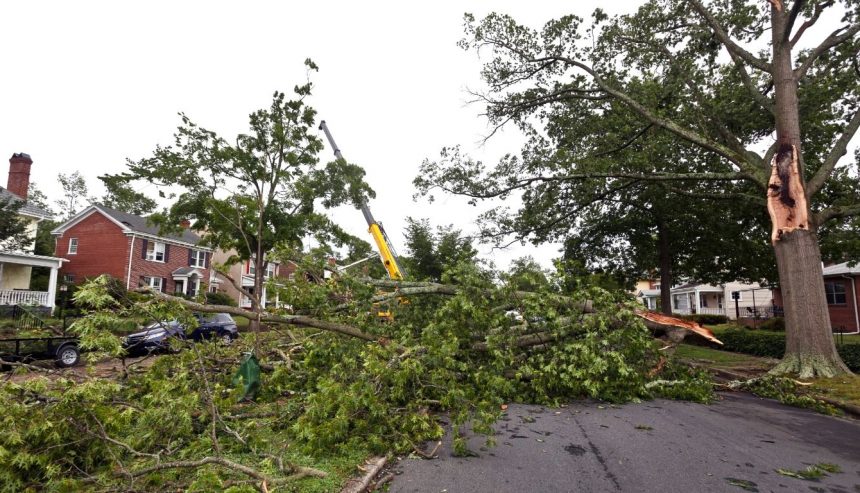 Hurricane Helene devastation