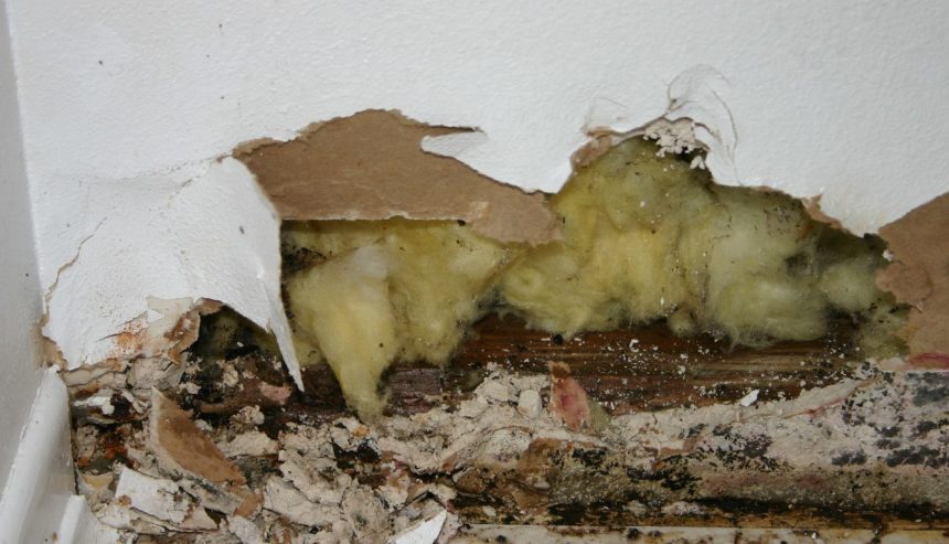 mold damage structure