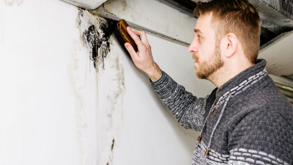 unsafe DIY mold cleanup