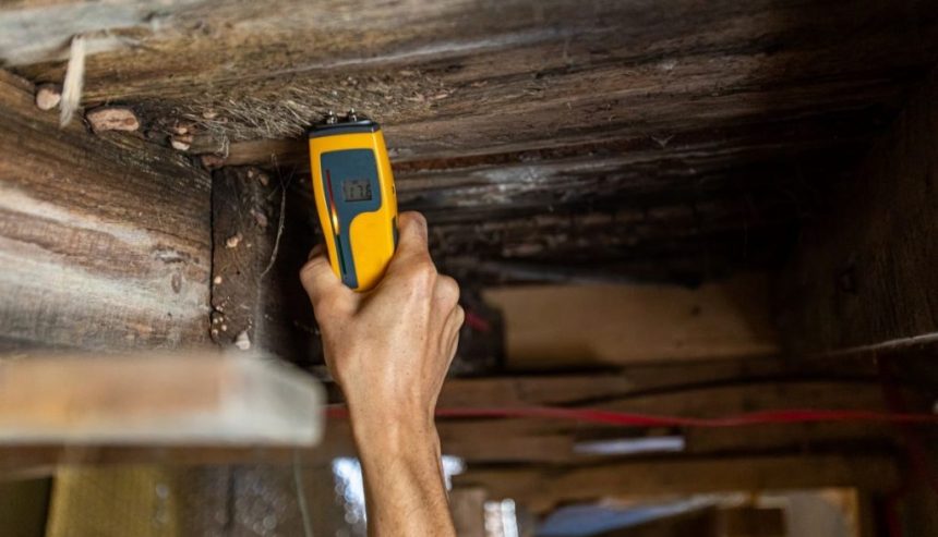 Mold on Wood: How to Remove Mold from Wood in 2025