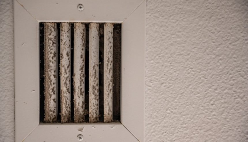 7 Signs of Black Mold in Air Vents & Should You Be Worried About Mold in 2025?