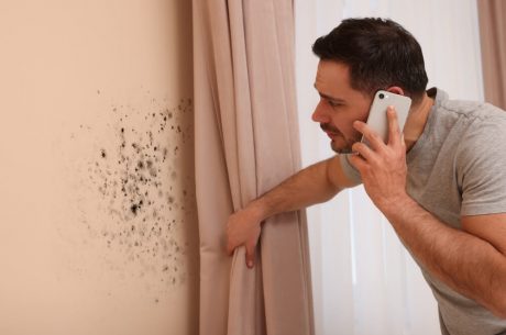 What Homeowners & Renters in Melbourne Florida Should Know About Mold in 2025