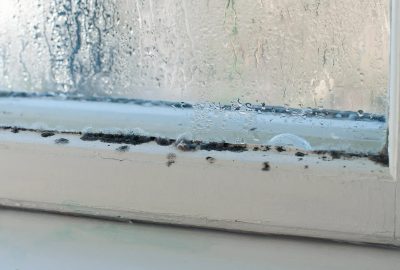 How to Prevent Mold Growth & Protect Your Health in Your Florida Home This 2025 Winter