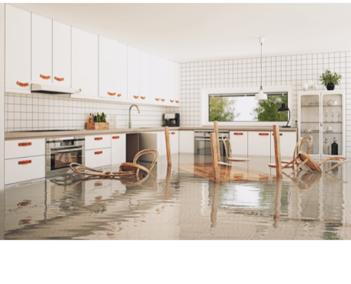 WATER DAMAGE – Prevention is the Best Medicine