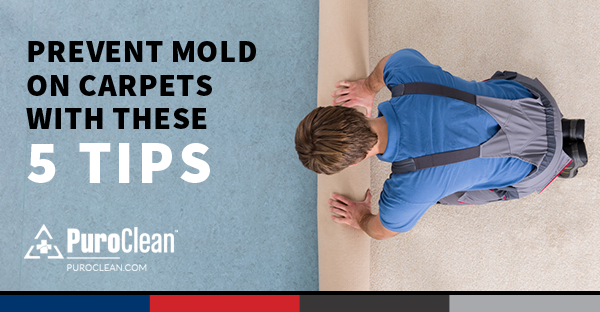 how to prevent mold on carpets