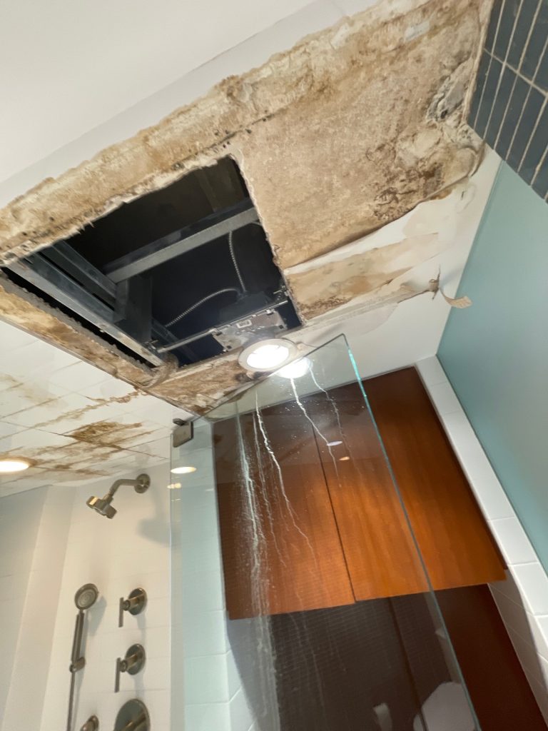 Bathroom ceiling mold growth.