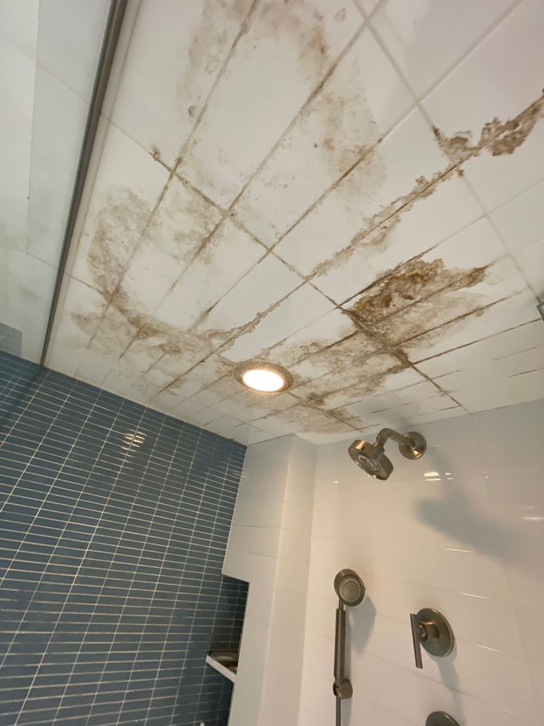 Bathroom ceiling mold growth.