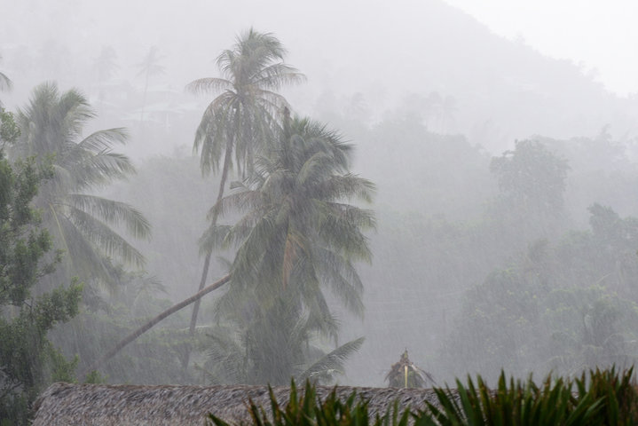 Heavy rains and wind during summer storms in Miami.