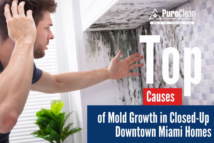 Causes of Mold