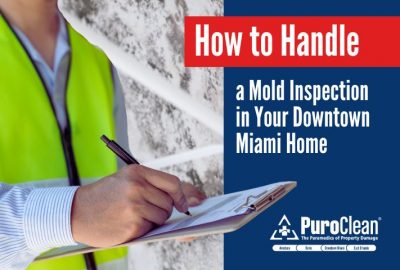 Mold Inspection