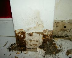 Wall damaged before water damage restoration by PuroClean of South Miami Miami FL