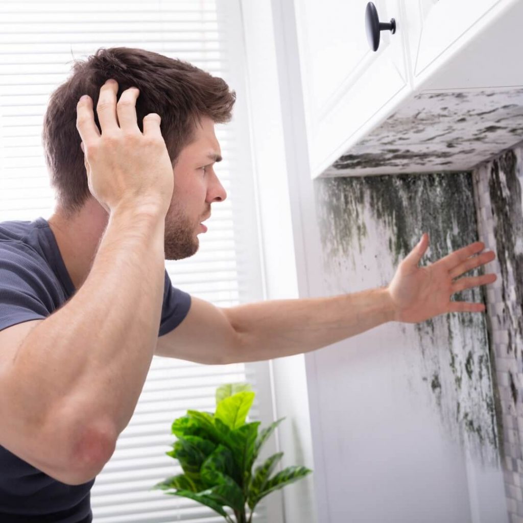 Immediate Actions to Take Upon Discovering Mold