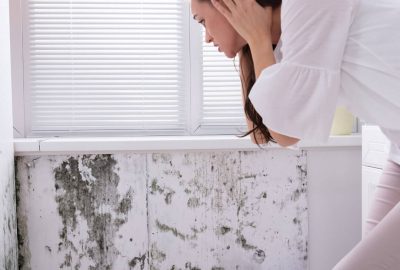 Mold Remediation Secrets What Professionals Wish You Knew