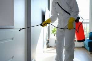 mold remediation