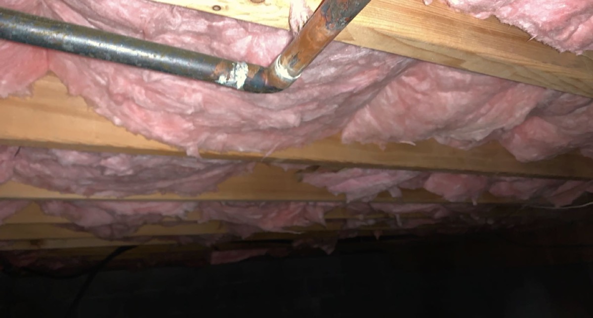 crawl space mold