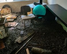 Dirt found in room by PuroClean of Naples for remediation