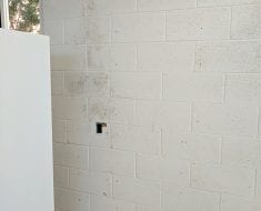 Mold on wall before mold removal by PuroClean of Naples FL