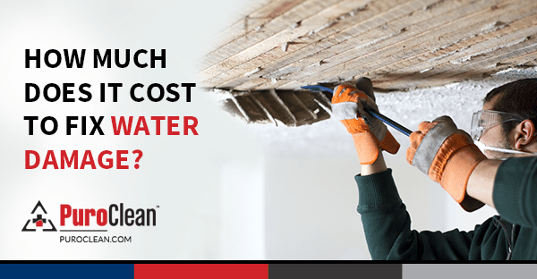 How Much Does It Cost to Fix Water Damage?