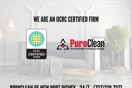 IICRC Certified Firm