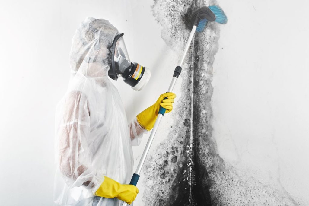 black-mold-remediation