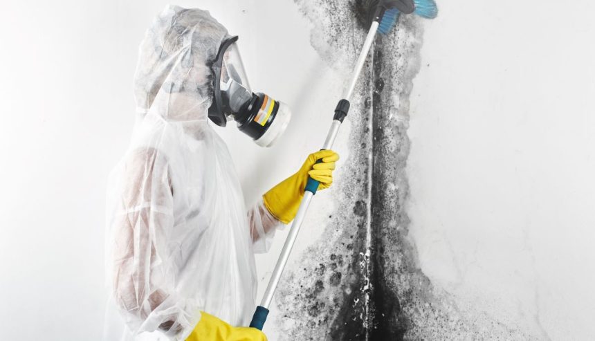 black-mold-remediation