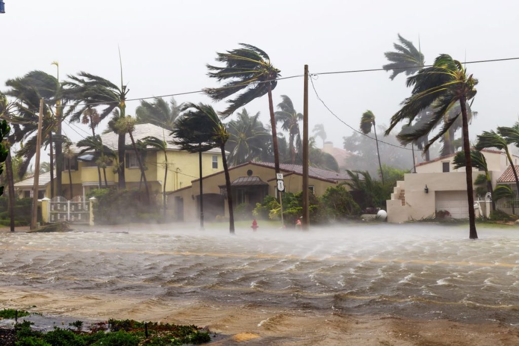 flood damage cleanup after hurricane 